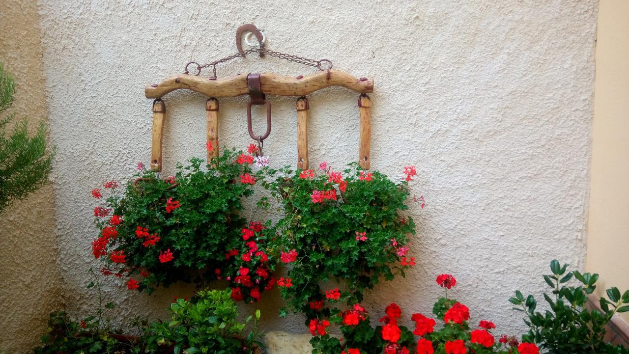 B&B A Casa Di Nonna Massa d'Albe Exteriér fotografie