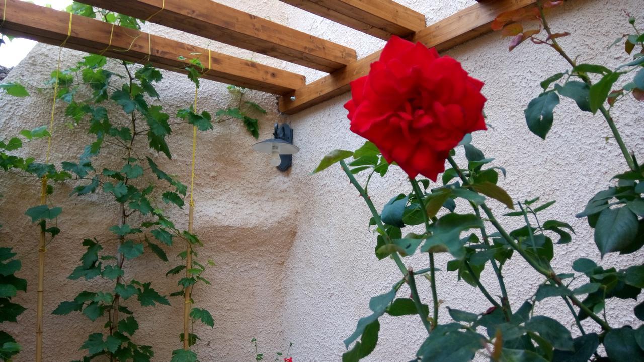 B&B A Casa Di Nonna Massa d'Albe Exteriér fotografie