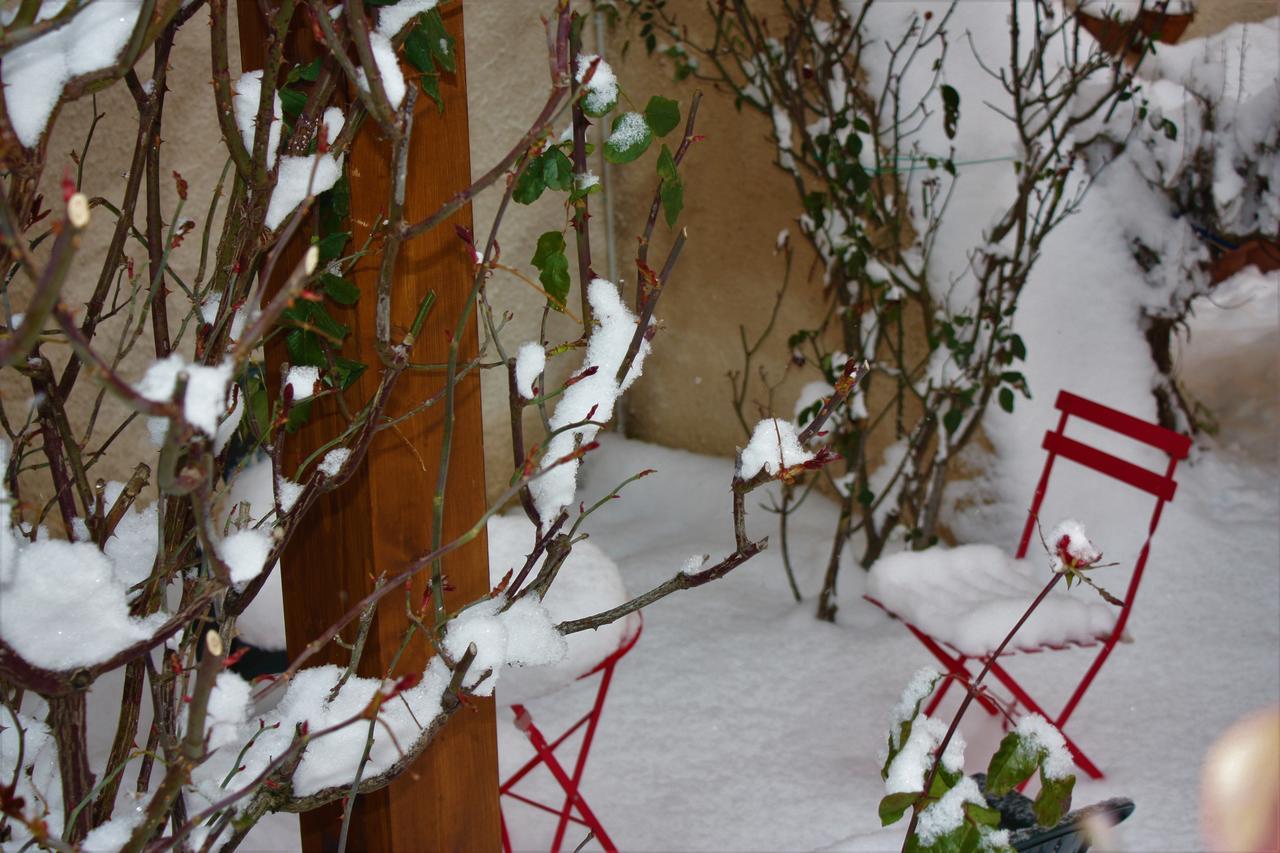 B&B A Casa Di Nonna Massa d'Albe Exteriér fotografie